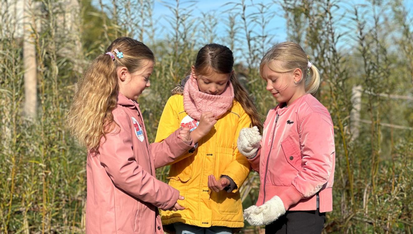 Kinderen samen aan het spelen