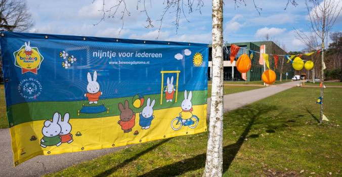 Afbeelding van nijntje Beweegdiploma