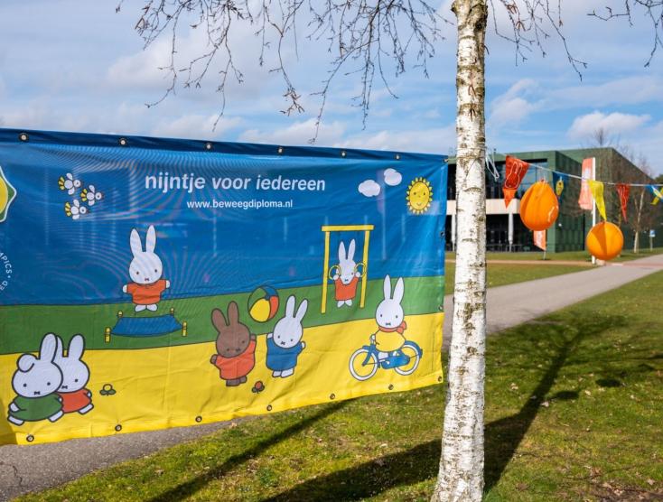 Afbeelding van nijntje Beweegdiploma